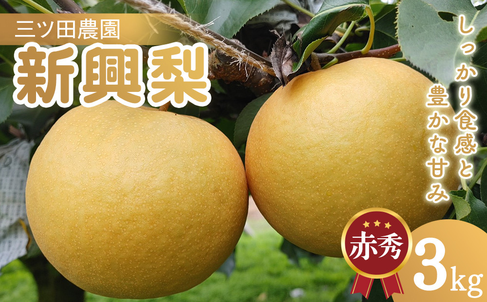 三ツ田農園&nbsp;新興梨&nbsp;(赤秀)3kg【10月頃お届け】