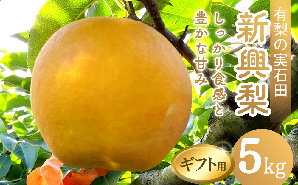有梨の実石田&nbsp;新興梨&nbsp;(ギフト用)5kg【10月頃お届け】