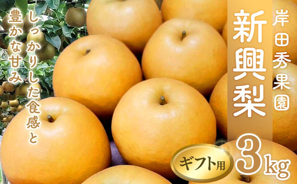 岸田秀果園&nbsp;新興梨&nbsp;(ギフト用)&nbsp;3kg【10月頃お届け】