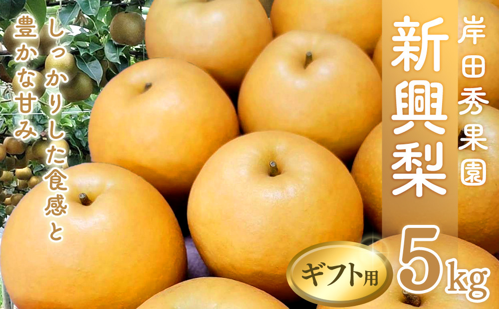岸田秀果園&nbsp;新興梨&nbsp;(ギフト用)5kg【10月頃お届け】