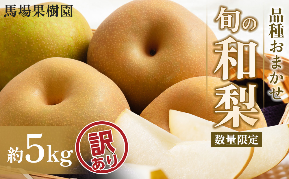 【2026年先行予約／訳あり】【馬場果樹園】品種おまかせ&nbsp;旬の和梨&nbsp;約5kg&nbsp;8月中旬～順次発送