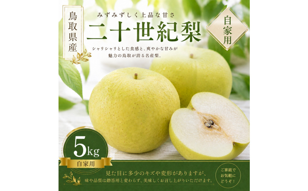 【先行予約】有梨の実石田&nbsp;二十世紀梨&nbsp;(自家用)5kg