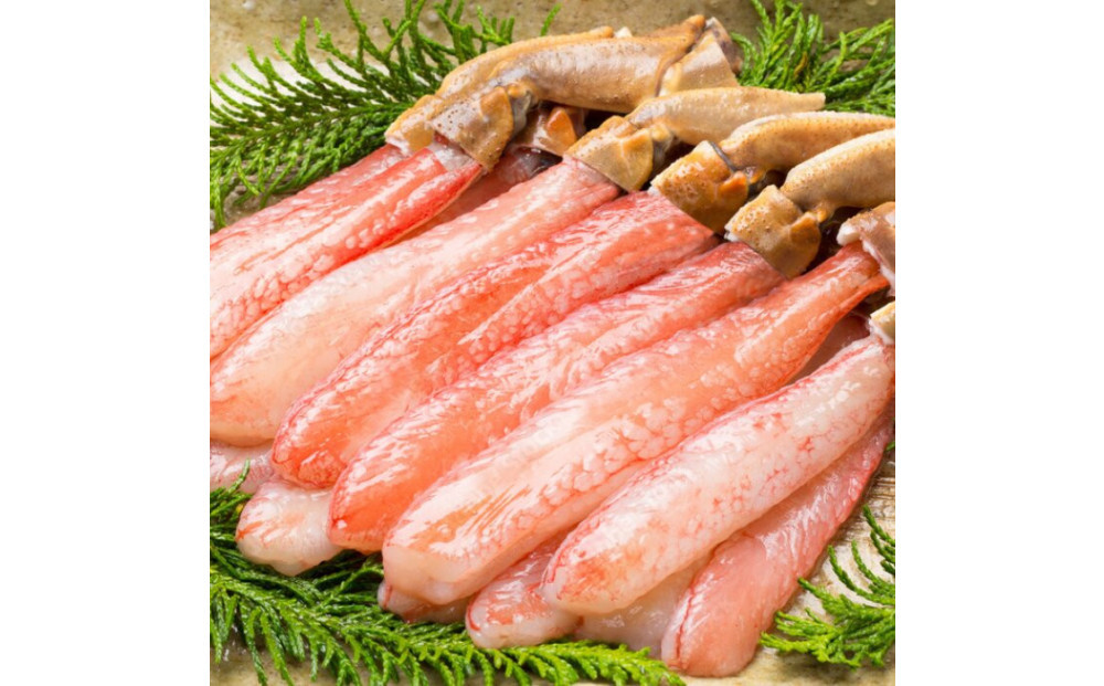 生本ズワイガニ棒肉ポーション500g&nbsp;|&nbsp;ズワイガニ&nbsp;ずわいがに&nbsp;蟹&nbsp;かに&nbsp;カニ&nbsp;ポーション&nbsp;棒ポーション&nbsp;剥き身&nbsp;むき身&nbsp;殻むき済み&nbsp;食べやすい&nbsp;&nbsp;海鮮&nbsp;魚介&nbsp;魚介類&nbsp;カニ鍋&nbsp;&nbsp;冷凍&nbsp;保存&nbsp;家庭用&nbsp;お取り寄せ&nbsp;グルメ&nbsp;人気&nbsp;おすすめ&nbsp;境港&nbsp;鳥取県&nbsp;境港市