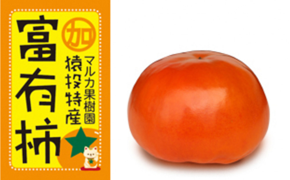 ＜先行受付＞富有柿　約4.4kg【2026年11月上旬以降順次発送】