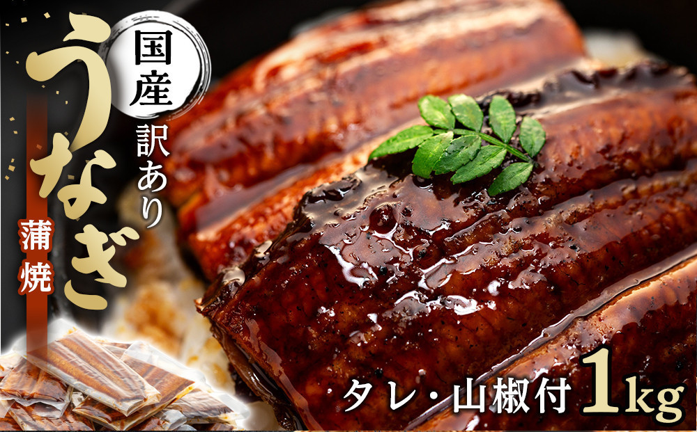 丑の日までにお届け&nbsp;訳あり&nbsp;国産&nbsp;うなぎ&nbsp;1食&nbsp;パック&nbsp;合計1kg&nbsp;山椒&nbsp;付き&nbsp;タレ&nbsp;30個&nbsp;付&nbsp;数量限定｜訳アリ&nbsp;わけあり&nbsp;ワケアリ&nbsp;国産&nbsp;人気&nbsp;うなぎ&nbsp;鰻&nbsp;ウナギ&nbsp;蒲焼き&nbsp;蒲焼&nbsp;かばやき&nbsp;魚&nbsp;魚介&nbsp;魚貝&nbsp;海鮮&nbsp;うな重&nbsp;ひつまぶし&nbsp;蒲焼&nbsp;ギフト&nbsp;人気&nbsp;おすすめ&nbsp;国産&nbsp;うなぎ&nbsp;鰻&nbsp;ウナギ&nbsp;うなぎ蒲焼&nbsp;鰻蒲焼き&nbsp;蒲焼&nbsp;かば焼き&nbsp;うなぎ【訳あり&nbsp;国産&nbsp;うなぎ&nbsp;unagi&nbsp;鰻&nbsp;ウナギ&nbsp;うなぎ蒲焼】