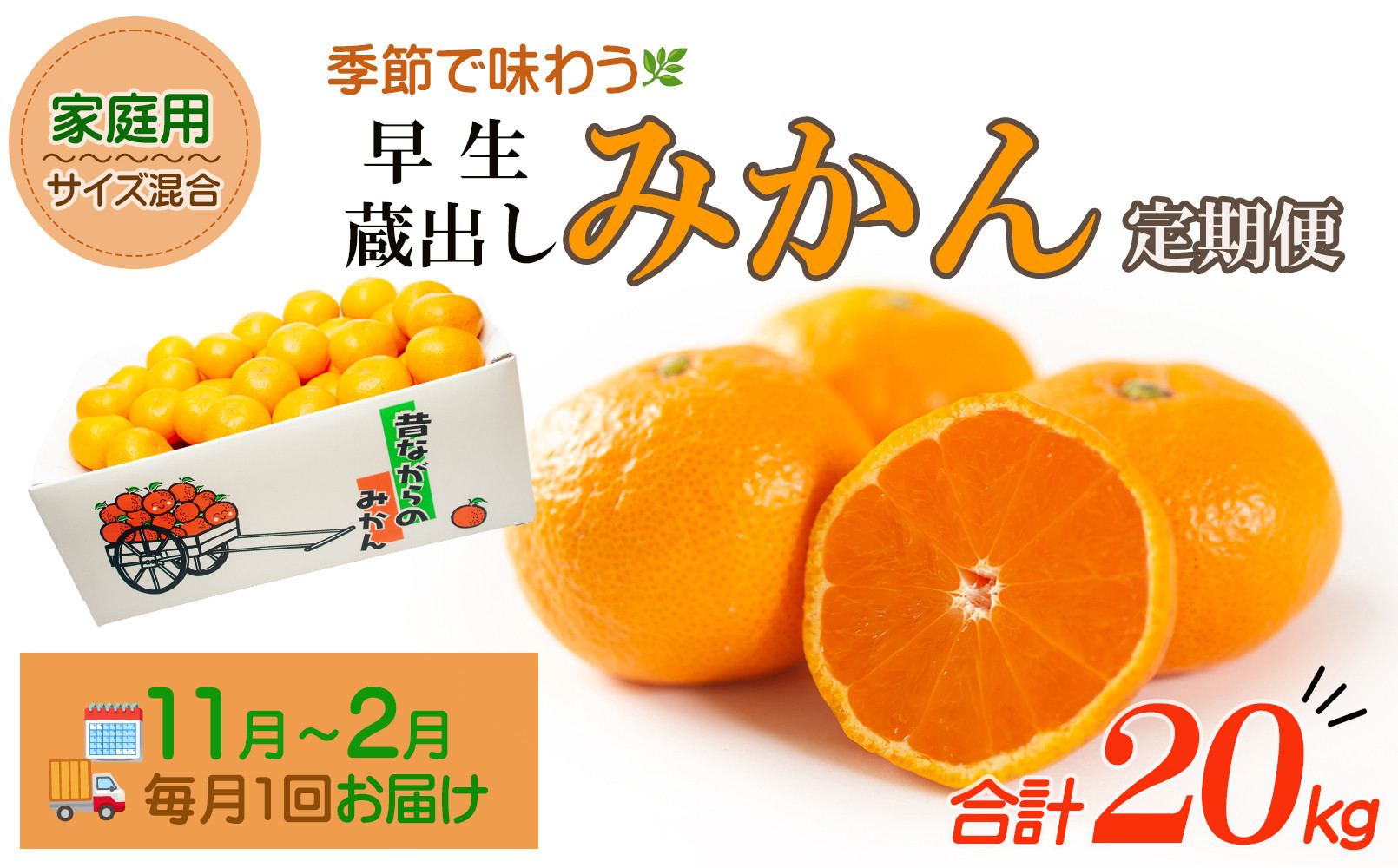 ［定期便］みかん&nbsp;5kg&nbsp;家庭用（11月～2月&nbsp;計4回）みかん&nbsp;定期便&nbsp;柑橘&nbsp;和歌山県&nbsp;海南市&nbsp;早生みかん&nbsp;蔵出しみかん&nbsp;鈴木農園