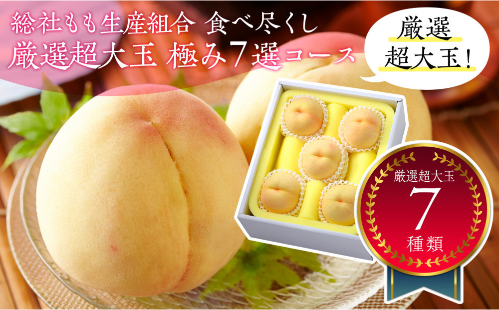 【全7回お届け】総社もも生産組合　食べ尽くし　厳選超大玉　極み7選コース【7月下旬以降発送】