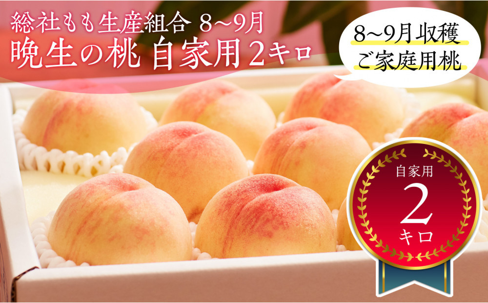 総社もも生産組合　8月-9月晩生の桃　自家用2kg【8月以降発送】