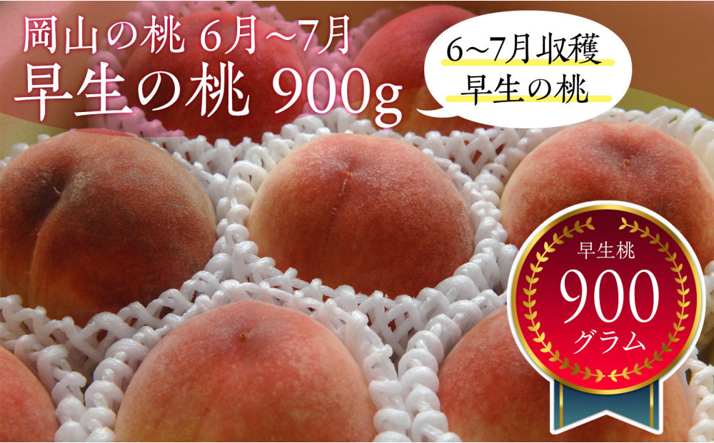 岡山の桃　6月&nbsp;-&nbsp;7月　早生の桃　900ｇ【6月下旬以降発送】
