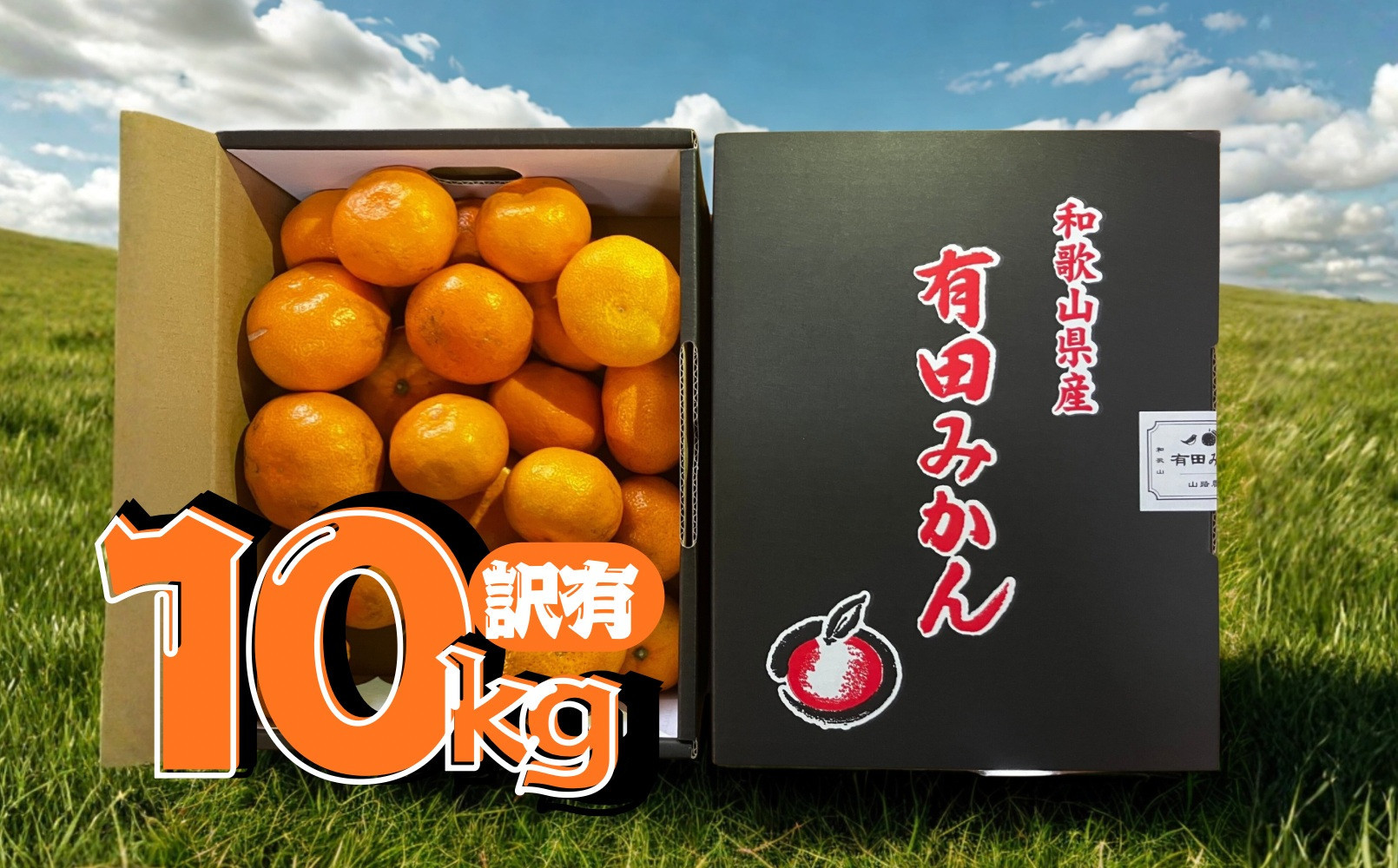 【12月発送&nbsp;訳あり】有田みかん&nbsp;約10kg&nbsp;家庭用