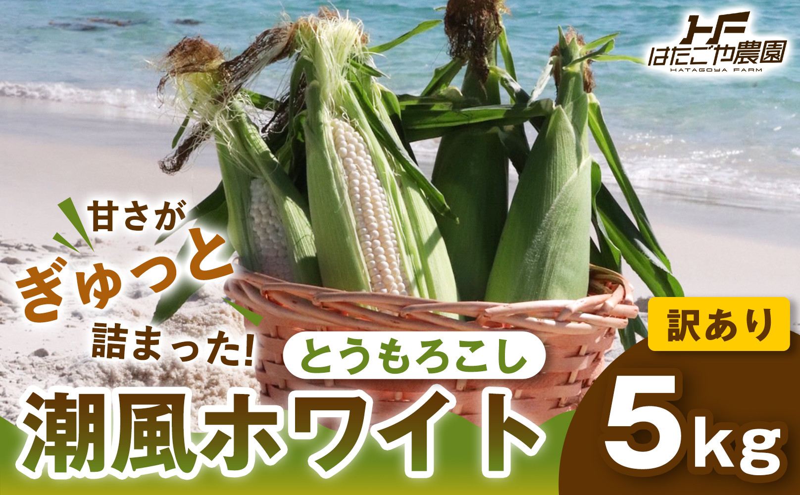 ［2027年発送&nbsp;先行予約&nbsp;夏の味覚］［おいしさそのまま］訳アリ&nbsp;潮風ホワイト&nbsp;5kg&nbsp;1セット&nbsp;とうもろこし&nbsp;トウモロコシ&nbsp;白&nbsp;コーン&nbsp;とうもろこし&nbsp;BBQ&nbsp;焼き肉&nbsp;白浜町