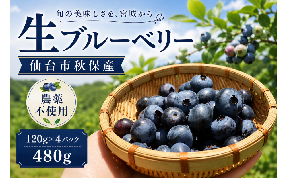 仙台市秋保産ブルーベリー&nbsp;(120gパックｘ4個　合計480g