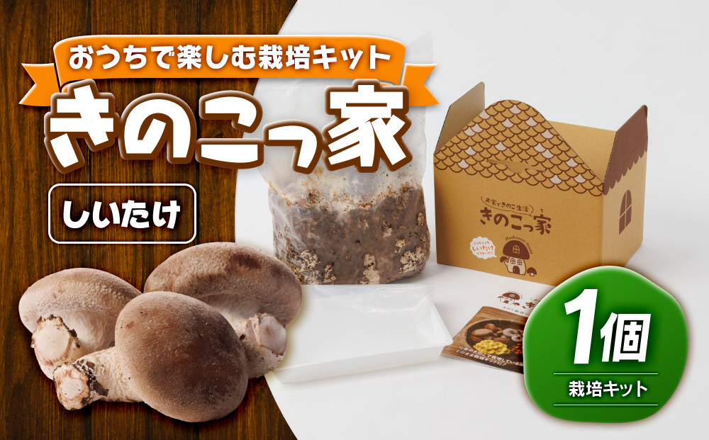 おうちで楽しむ栽培キット「きのこっ家」　しいたけ