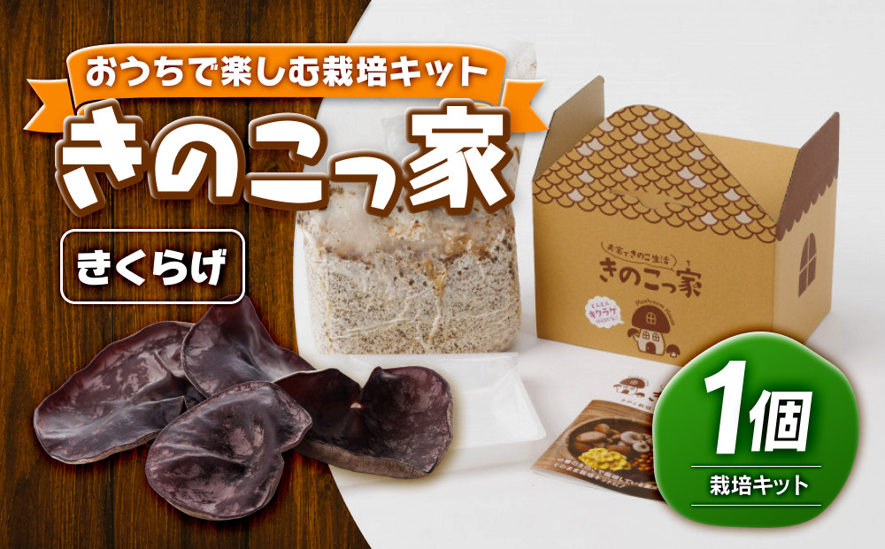 おうちで楽しむ栽培キット「きのこっ家」　きくらげ　