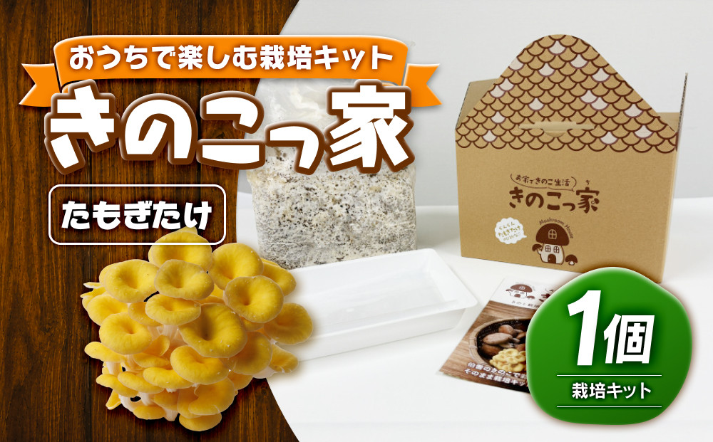 おうちで楽しむ栽培キット「きのこっ家」　たもぎたけ　