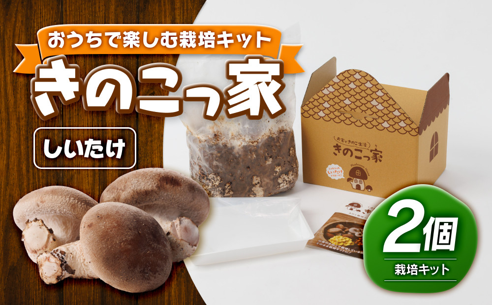 おうちで楽しむ栽培キット「きのこっ家」2個セット　しいたけ×しいたけ