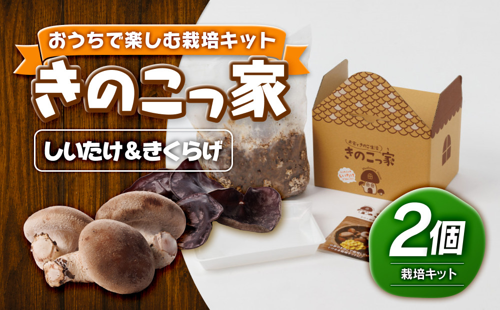 おうちで楽しむ栽培キット「きのこっ家」2種セット　しいたけ×きくらげ　