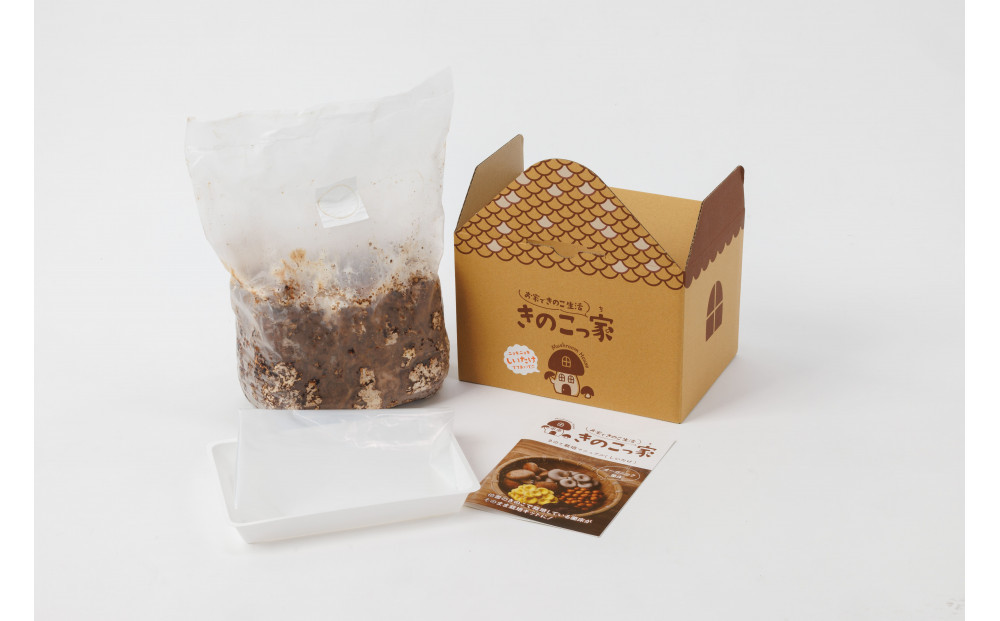 おうちで楽しむ栽培キット「きのこっ家」2種セット　しいたけ×たもぎたけ　