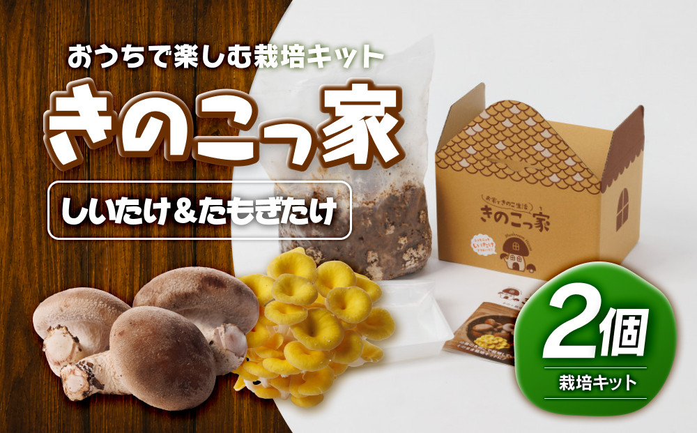 おうちで楽しむ栽培キット「きのこっ家」2種セット　しいたけ×たもぎたけ　