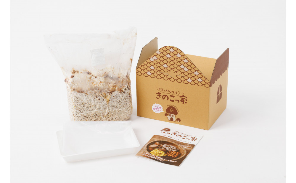 おうちで楽しむ栽培キット「きのこっ家」2個セット　きくらげ×きくらげ　