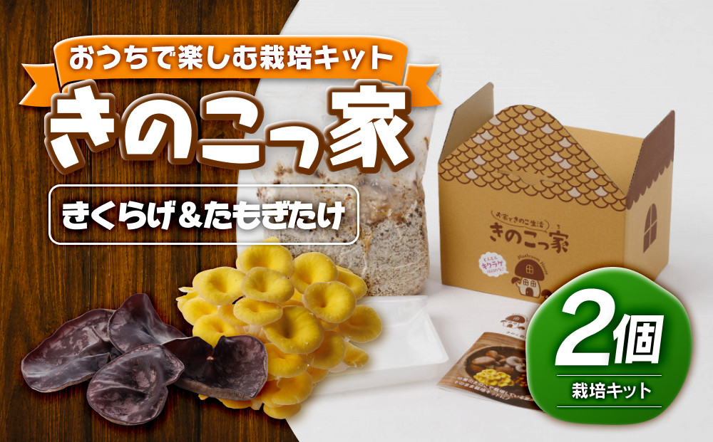 おうちで楽しむ栽培キット「きのこっ家」2種セット　きくらげ×たもぎたけ　