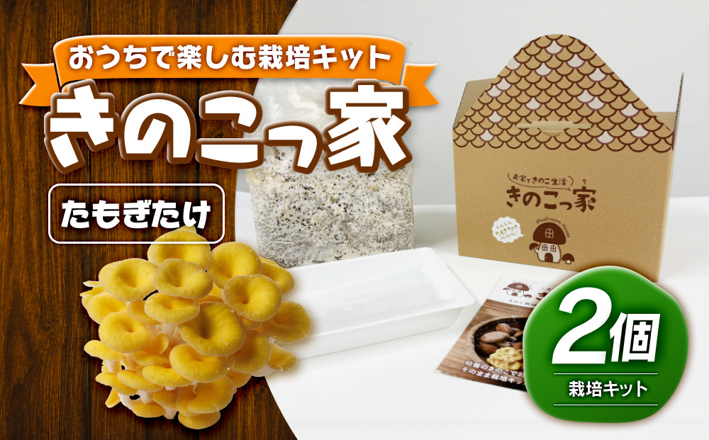 おうちで楽しむ栽培キット「きのこっ家」2個セット　たもぎたけ×たもぎたけ　