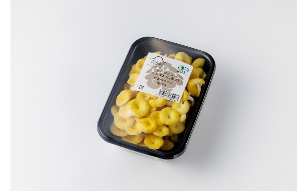 【3回定期便】オーガニックきのこ５種を３回に分けてお届け1.5kg×3　計4.5kg