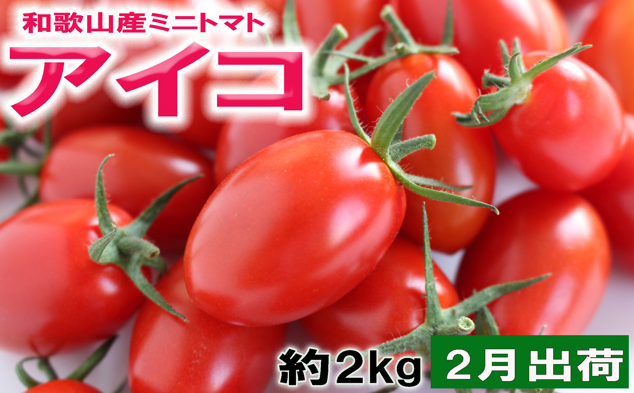 ［2027年2月出荷分］和歌山産ミニトマト「アイコトマト」約2kg（M・Lサイズおまかせ）［TM261］