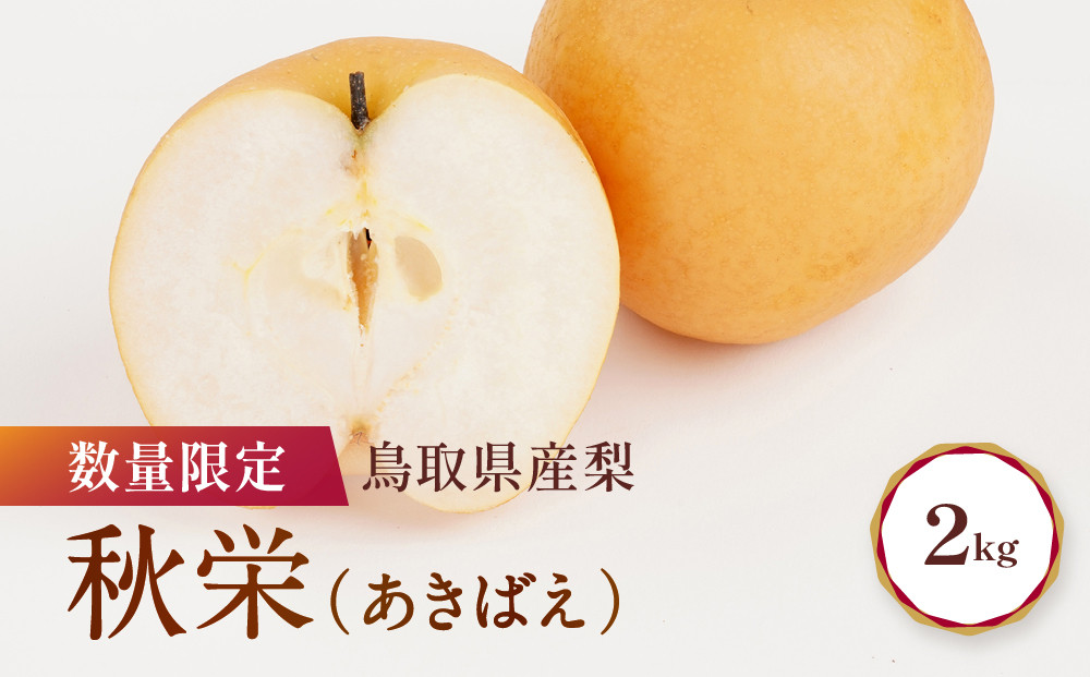 【先行予約】数量限定&nbsp;鳥取県産梨&nbsp;秋栄&nbsp;約2kg&nbsp;梨&nbsp;秋栄&nbsp;梨2kg&nbsp;秋栄2kg&nbsp;鳥取県産梨&nbsp;国産梨&nbsp;梨先行予約&nbsp;先行予約梨&nbsp;新鮮&nbsp;旬&nbsp;フルーツ&nbsp;果物&nbsp;くだもの&nbsp;人気&nbsp;おすすめ&nbsp;鳥取県&nbsp;鳥取&nbsp;琴浦町