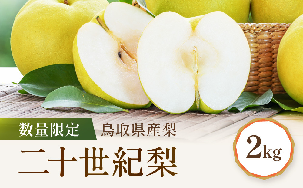 【先行予約】数量限定&nbsp;鳥取県産梨&nbsp;二十世紀梨&nbsp;約2kg&nbsp;二十世紀梨2kg&nbsp;梨2kg&nbsp;国産梨&nbsp;鳥取県産梨&nbsp;梨鳥取&nbsp;二十世紀梨&nbsp;先行予約&nbsp;梨先行予約&nbsp;新鮮&nbsp;旬&nbsp;フルーツ&nbsp;果物&nbsp;くだもの&nbsp;人気&nbsp;おすすめ&nbsp;鳥取県&nbsp;鳥取&nbsp;琴浦町
