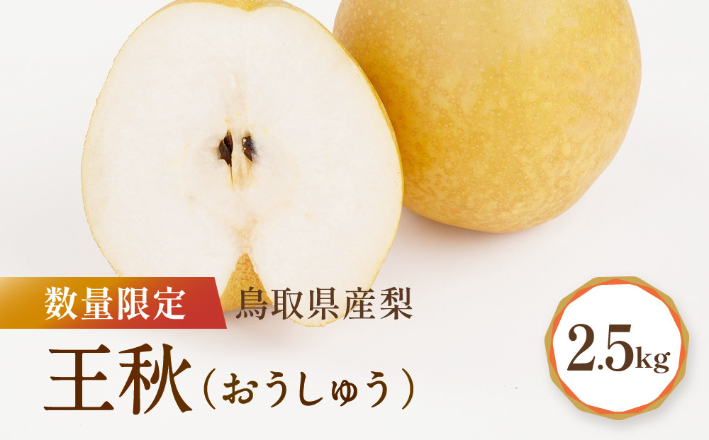 【先行予約】数量限定&nbsp;鳥取県産梨&nbsp;王秋&nbsp;約2.5kg&nbsp;梨&nbsp;王秋　国産梨&nbsp;国産王秋&nbsp;鳥取&nbsp;鳥取県産梨&nbsp;梨鳥取&nbsp;先行予約&nbsp;梨先行予約&nbsp;新鮮&nbsp;旬&nbsp;フルーツ&nbsp;果物&nbsp;くだもの&nbsp;人気&nbsp;おすすめ&nbsp;鳥取県&nbsp;鳥取&nbsp;琴浦町