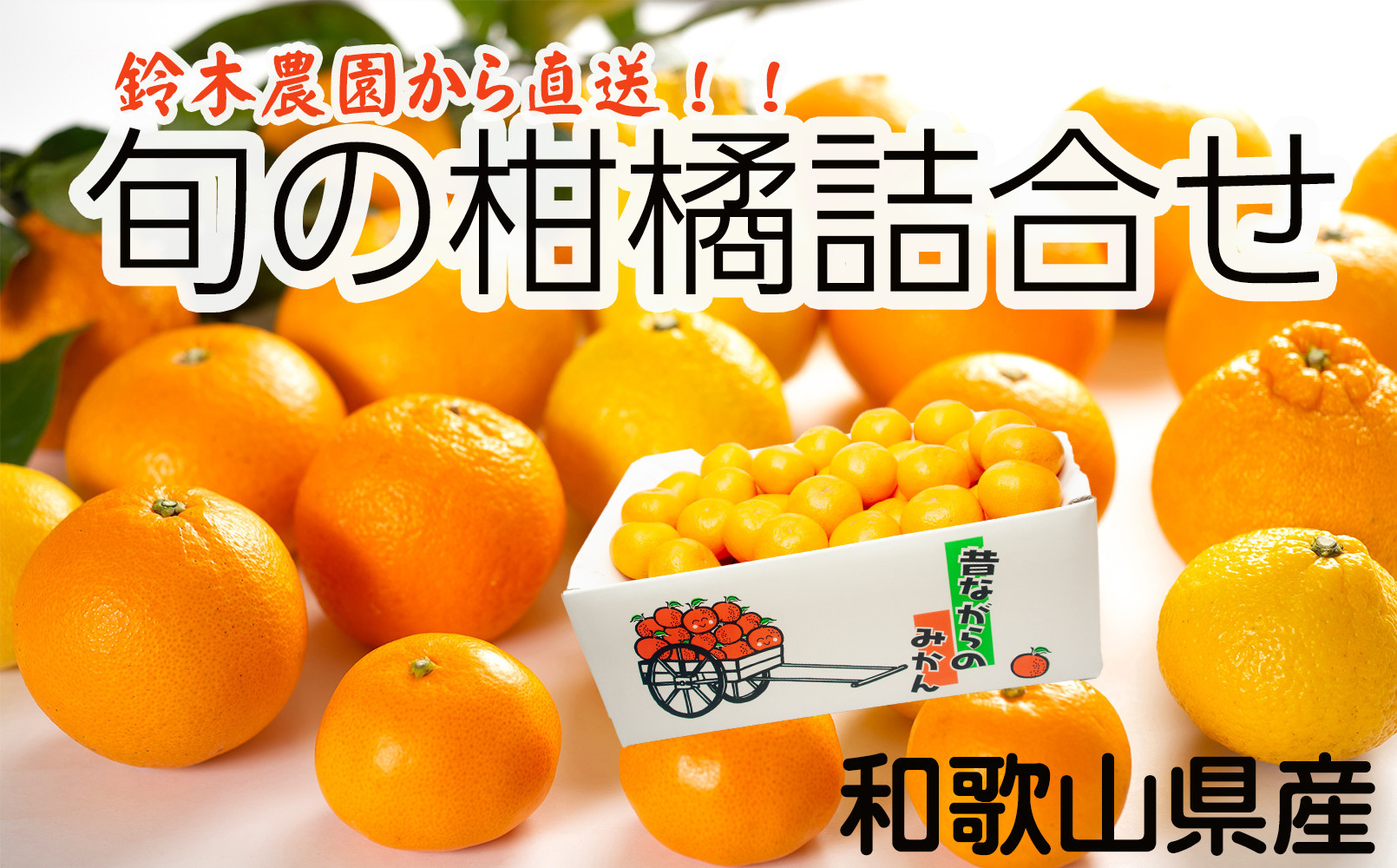 鈴木農園の旬の柑橘詰め合わせ&nbsp;4.5kg～5kg&nbsp;箱&nbsp;2月～4月発送