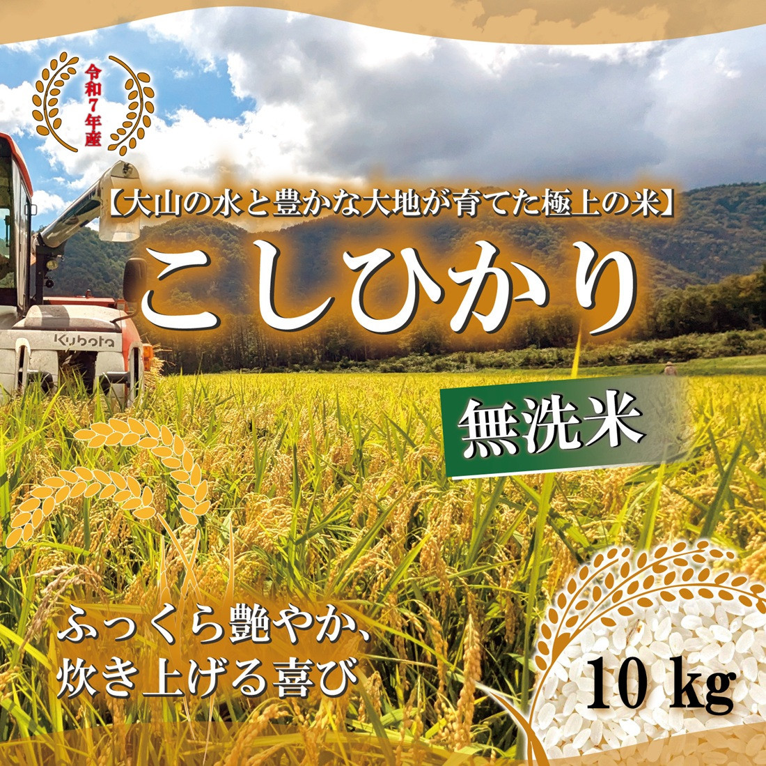 ＜令和7年産＞山崎農園のこしひかり(無洗米・10kg)&nbsp;【鳥取県&nbsp;境港市】
