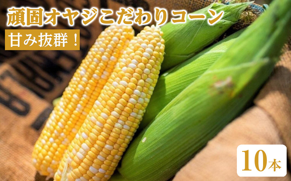甘み抜群！北海道産とうもろこし【頑固オヤジこだわりコーン】10本入り