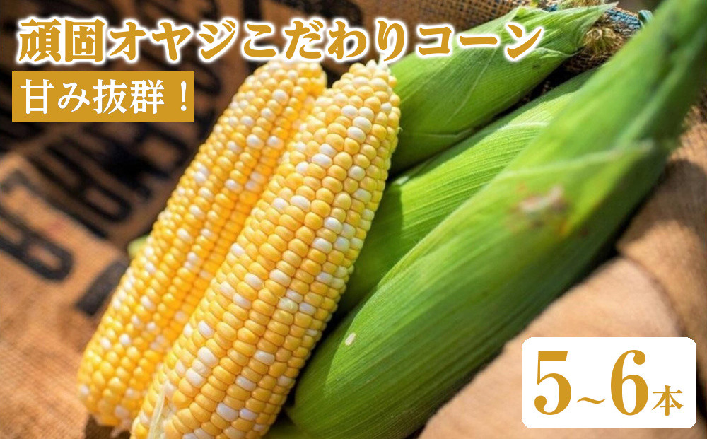 甘み抜群！北海道産とうもろこし【頑固オヤジこだわりコーン】５・６本入り