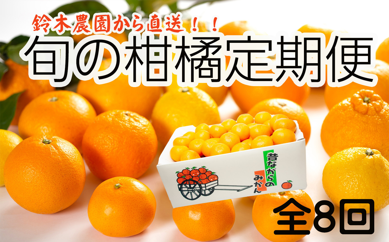 ［定期便&nbsp;全8回］和歌山県鈴木農園産&nbsp;旬のフルーツ定期便