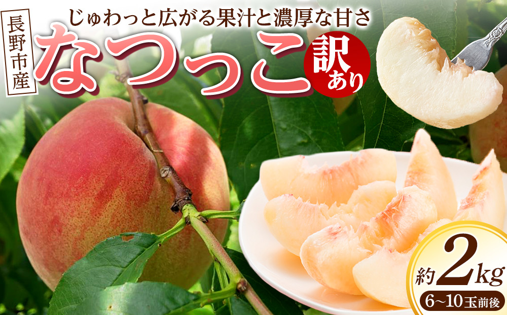 長野市産甘さあふれる信州なつっこ2kg｜訳ありでも感動の果汁体験セット&nbsp;桃&nbsp;信州なつっこ&nbsp;訳あり&nbsp;長野市産&nbsp;人気&nbsp;おすすめ&nbsp;フルーツ&nbsp;果物&nbsp;もも&nbsp;なつっこ&nbsp;家庭用&nbsp;旬&nbsp;産地直送&nbsp;長野県&nbsp;長野市&nbsp;信州&nbsp;信濃&nbsp;ふるさと納税