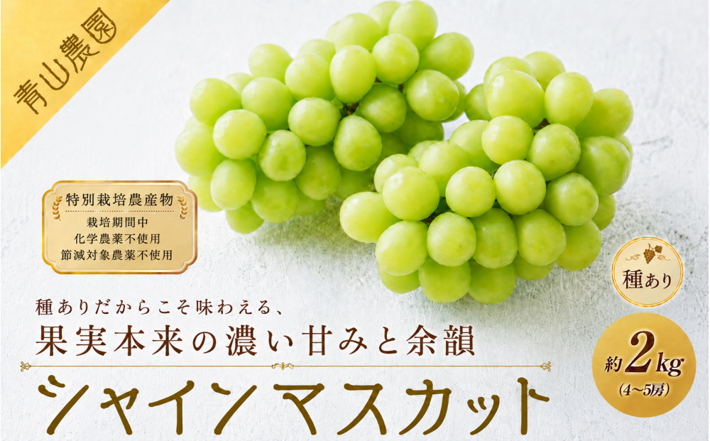 【先行予約】【数量限定】種ありシャインマスカット&nbsp;約2kg（4〜5房）｜特別栽培農産物〔2026年8月上旬より順次発送〕
