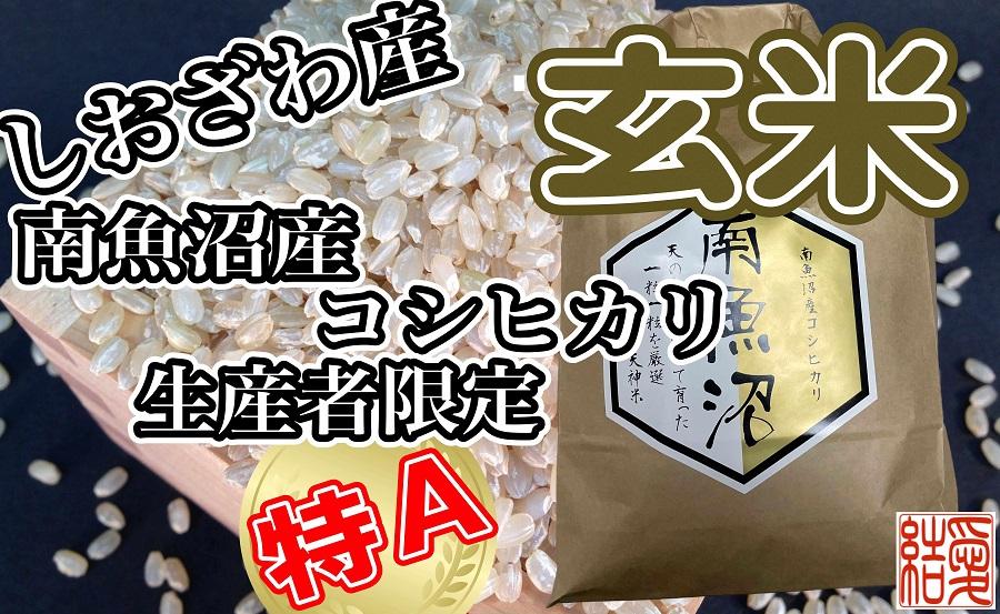 【定期便】玄米 南魚沼しおざわ産コシヒカリ2Kg×6ヶ月