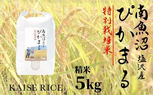 【令和7年産】南魚沼産塩沢【ぴかまる】（特別栽培米８割減農薬）精米５ｋｇ