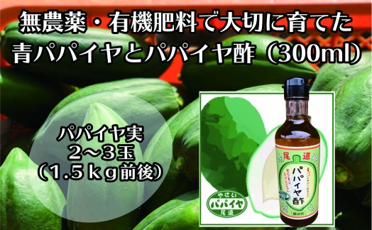 【先行予約】無農薬・有機肥料で大切に育てた&nbsp;パパイヤ&nbsp;2-3玉&nbsp;1.5キロ前後（栽培期間中農薬不使用）と&nbsp;パパイヤ酢300mlのセット　2026年9月発送