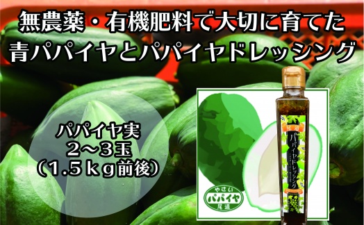 【先行予約】無農薬・有機肥料で大切に育てた&nbsp;パパイヤ&nbsp;2-3玉1.5キロ前後（栽培期間中農薬不使用）と&nbsp;パパイヤドレッシングのセット&nbsp;2026年9月発送