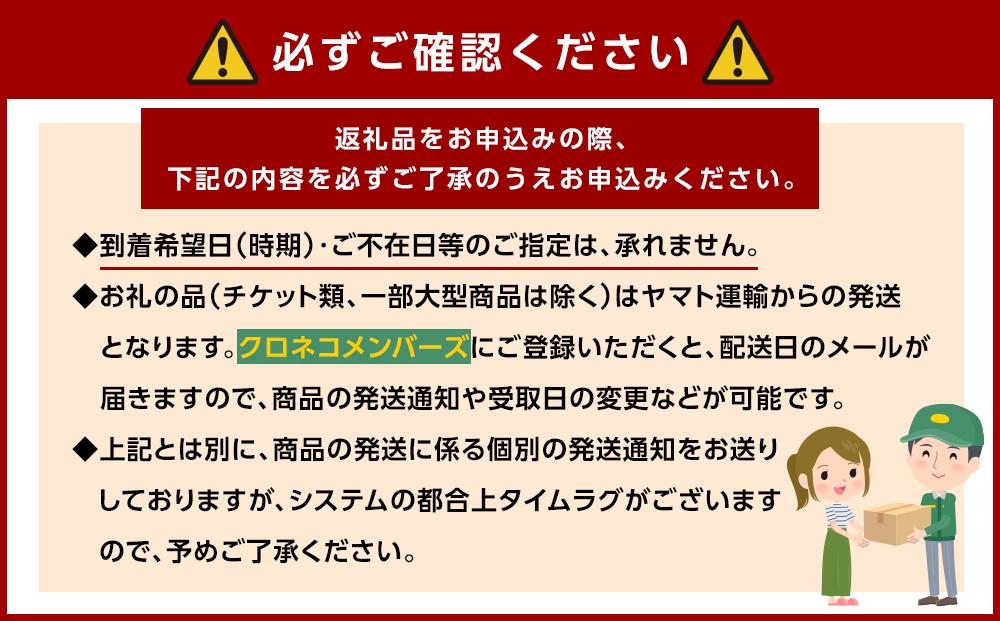 ◆先行予約◆和歌山県産 ピオーネ 2房入り〈秀品〉【2024年8月下旬以降出荷】【MG26】