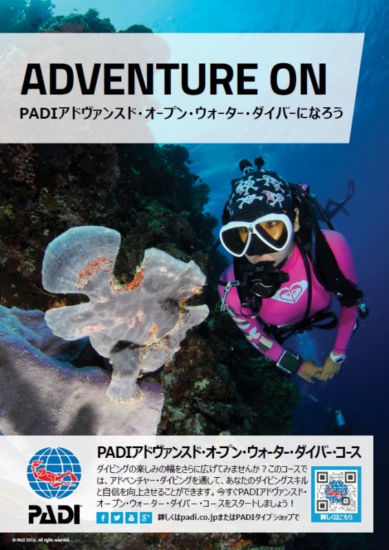 PADI ダイビング教材 ガイドトゥーティーチング - 本