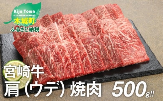 宮崎牛肩（ウデ）焼肉500g  K18_0017_4