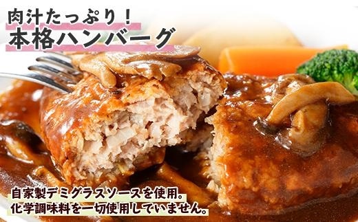 こだわり 手作り 自家製 煮込み ハンバーグ 新潟県 南魚沼市 170g×6個 約6人前 | JTBのふるさと納税サイト [ふるぽ]