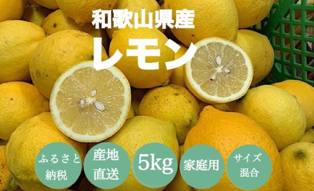 【産地直送】和歌山県産　レモン　5kg　家庭用