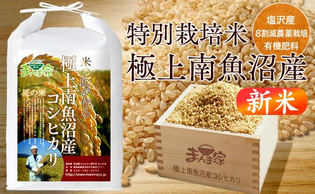 【新米】【令和8年産】特別栽培米「極上南魚沼産コシヒカリ」（有機肥料、8割減農薬栽培）玄米5ｋｇ【銘柄米&nbsp;ブランド米&nbsp;玄米&nbsp;こしひかり&nbsp;コシヒカリ&nbsp;魚沼産&nbsp;新潟米&nbsp;産地直送&nbsp;お米&nbsp;米&nbsp;こめ&nbsp;コメ&nbsp;ご飯&nbsp;御飯&nbsp;ごはん】