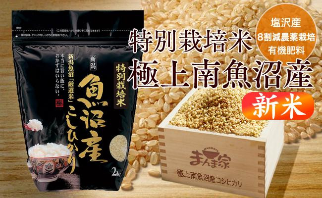 【新米】【令和8年産】特別栽培米「極上南魚沼産コシヒカリ」（有機肥料、8割減農薬栽培）玄米4ｋｇ【銘柄米&nbsp;ブランド米&nbsp;玄米&nbsp;こしひかり&nbsp;コシヒカリ&nbsp;魚沼産&nbsp;新潟米&nbsp;産地直送&nbsp;お米&nbsp;米&nbsp;こめ&nbsp;コメ&nbsp;ご飯&nbsp;御飯&nbsp;ごはん】