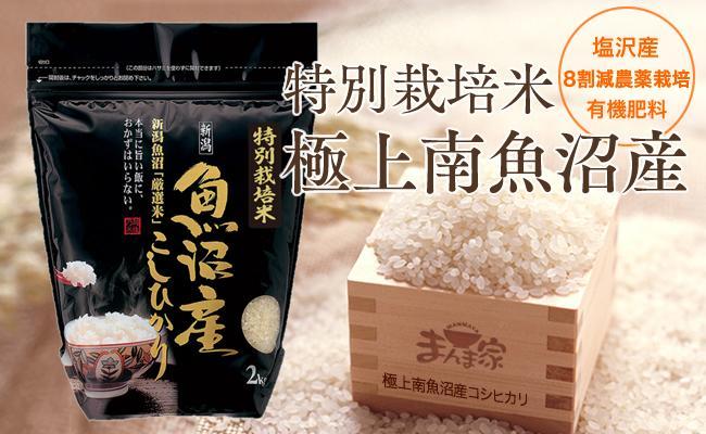 【頒布会】特別栽培米「極上南魚沼産コシヒカリ」（有機肥料、8割減農薬栽培）精米8ｋｇ×全6回